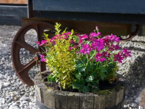 Flowers outside the Merlin Shepherds Hut