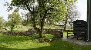 Approaching The Merlin Shepherds Hut