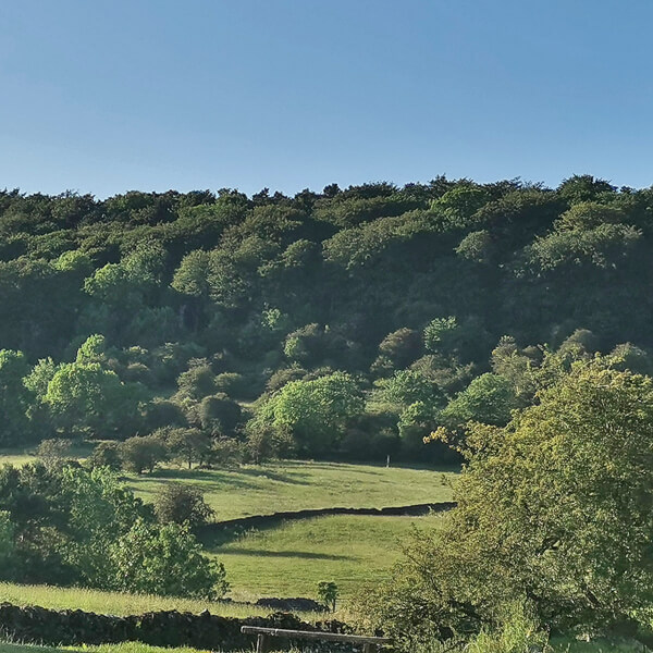 Peak District countryside surrounding Derbyshire Hills campsite