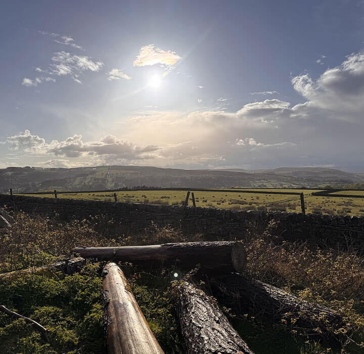 Late afternoon sun over the longshaw moorland, with dry stone walls and distant hills