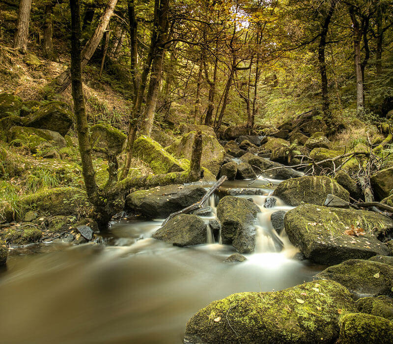Padley George
