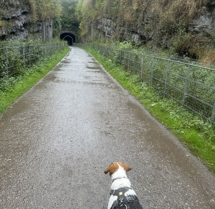 restored-railway-tunnel-on-the-monsal-trail Approaching one of the restored Railway tunnels on the monsal trail